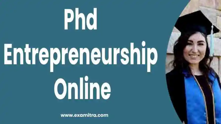 phd entrepreneurship online